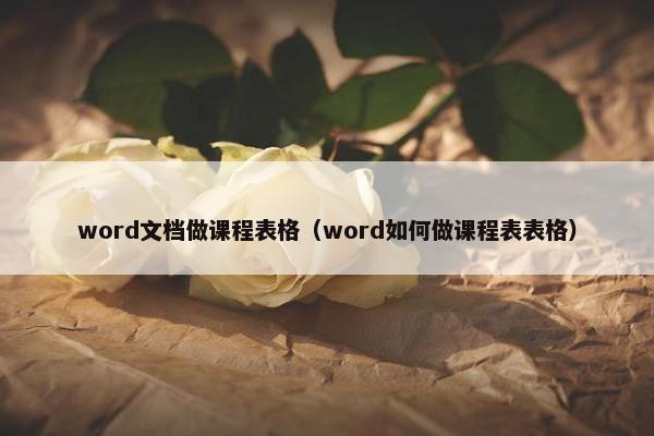 word文档做课程表格（word如何做课程表表格）