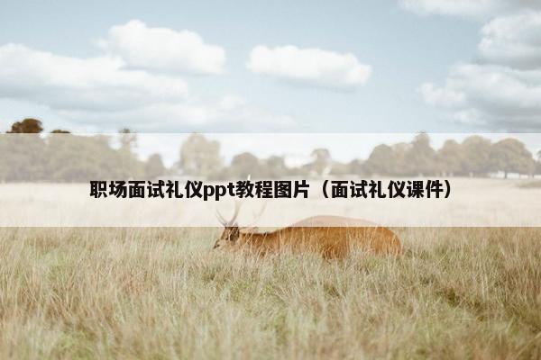 职场面试礼仪ppt教程图片（面试礼仪课件）