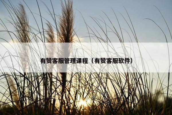 有赞客服管理课程（有赞客服软件）