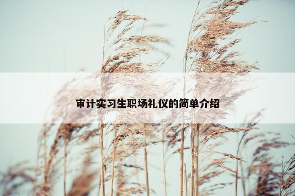 审计实习生职场礼仪的简单介绍