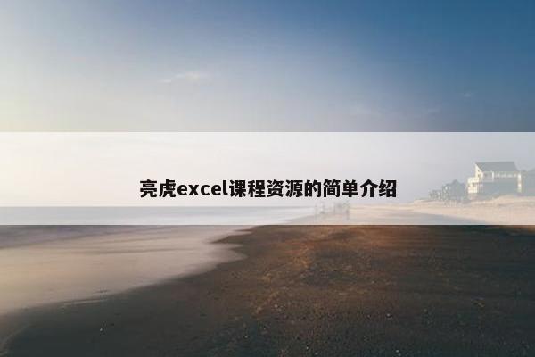 亮虎excel课程资源的简单介绍