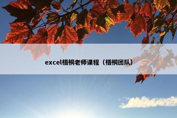 excel梧桐老师课程（梧桐团队）