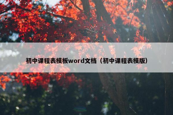 初中课程表模板word文档（初中课程表模版）