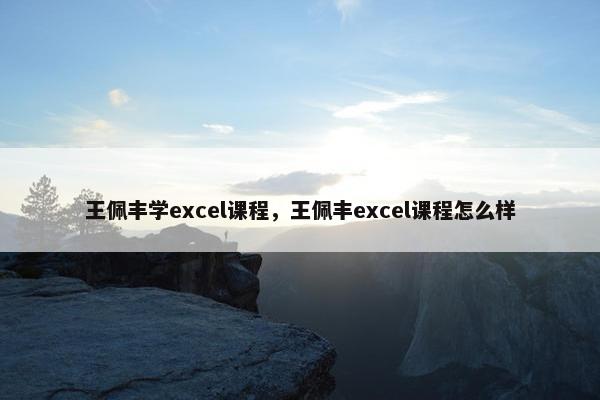 王佩丰学excel课程，王佩丰excel课程怎么样