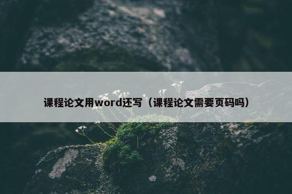 课程论文用word还写（课程论文需要页码吗）
