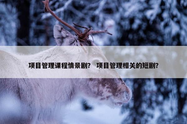 项目管理课程情景剧？ 项目管理相关的短剧？