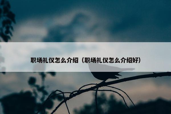 职场礼仪怎么介绍（职场礼仪怎么介绍好）