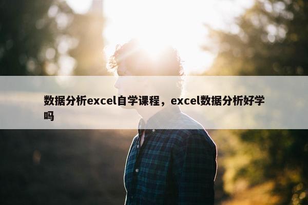 数据分析excel自学课程，excel数据分析好学吗