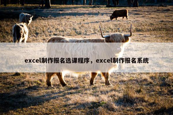 excel制作报名选课程序，excel制作报名系统