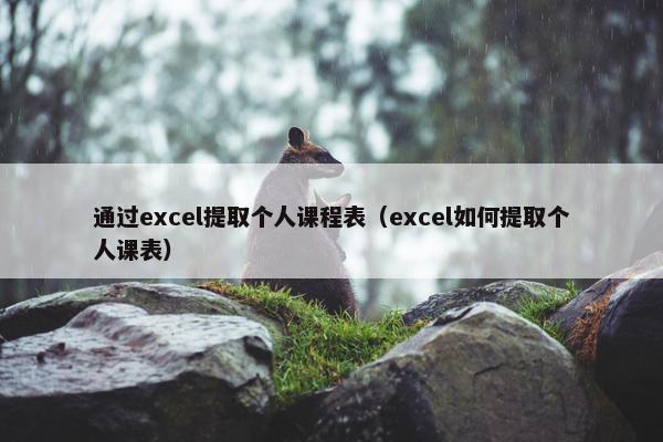 通过excel提取个人课程表（excel如何提取个人课表）