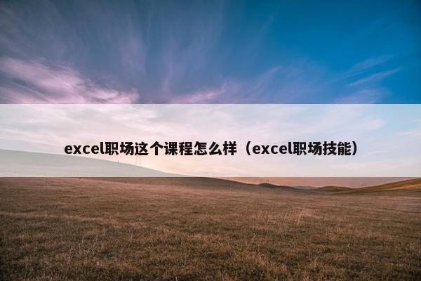 excel职场这个课程怎么样（excel职场技能）