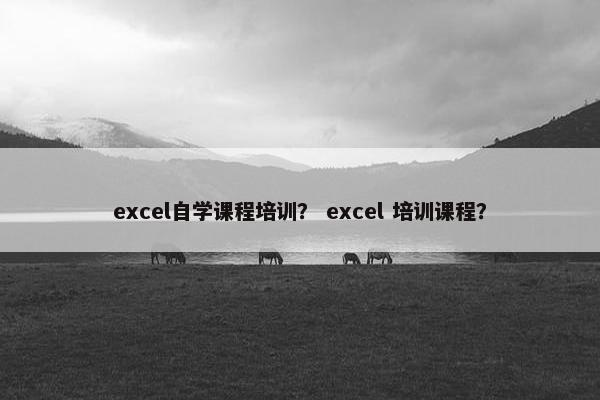 excel自学课程培训？ excel 培训课程？