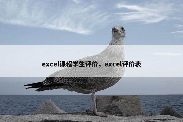 excel课程学生评价，excel评价表