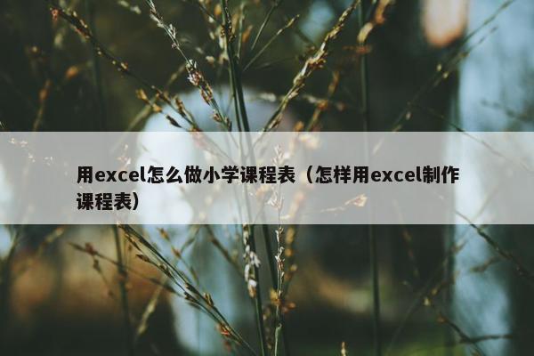 用excel怎么做小学课程表（怎样用excel制作课程表）
