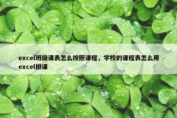 excel班级课表怎么按照课程，学校的课程表怎么用excel排课