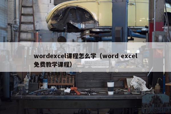 wordexcel课程怎么学（word excel免费教学课程）