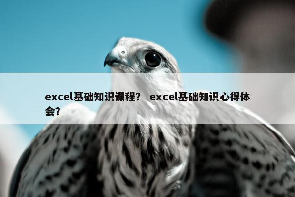 excel基础知识课程？ excel基础知识心得体会？