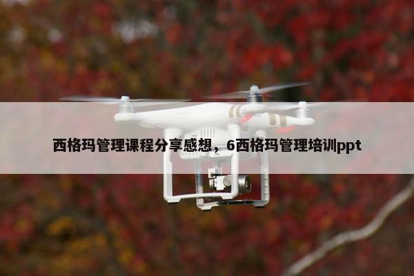 西格玛管理课程分享感想，6西格玛管理培训ppt