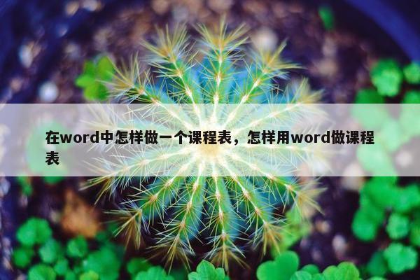 在word中怎样做一个课程表，怎样用word做课程表