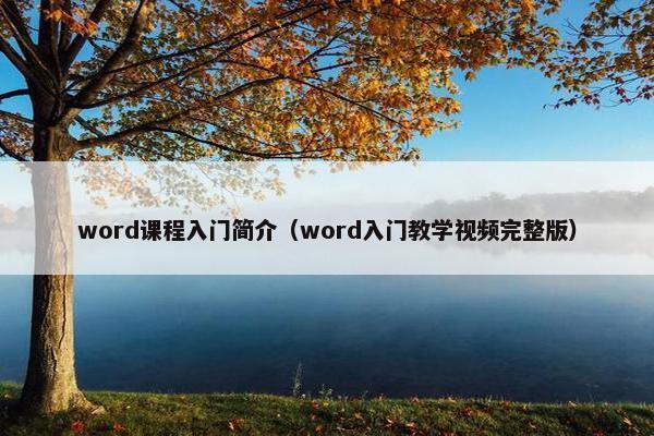 word课程入门简介（word入门教学视频完整版）