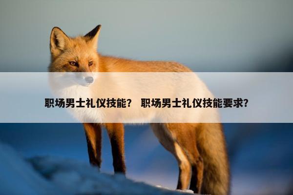 职场男士礼仪技能？ 职场男士礼仪技能要求？