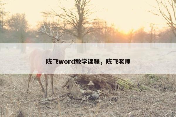 陈飞word教学课程，陈飞老师