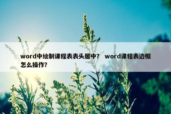 word中绘制课程表表头居中？ word课程表边框怎么操作？