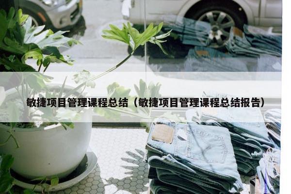 敏捷项目管理课程总结（敏捷项目管理课程总结报告）