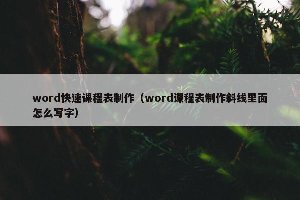word快速课程表制作（word课程表制作斜线里面怎么写字）