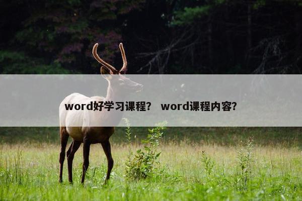 word好学习课程？ word课程内容？