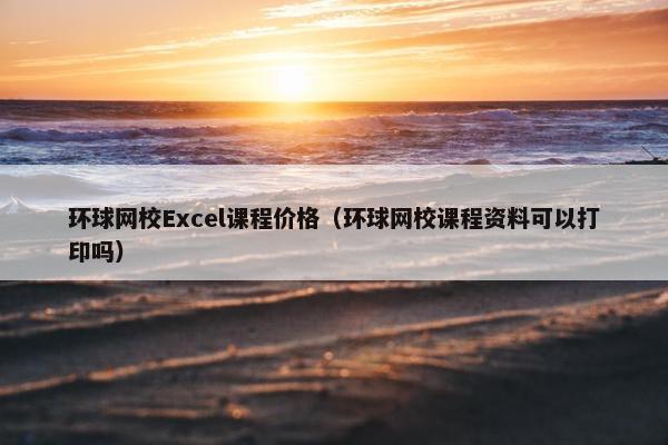 环球网校Excel课程价格（环球网校课程资料可以打印吗）