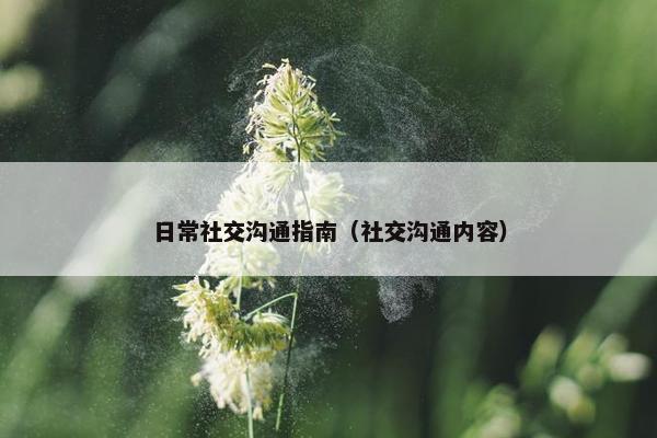 日常社交沟通指南（社交沟通内容）