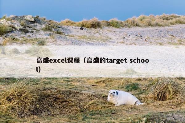 高盛excel课程（高盛的target school）