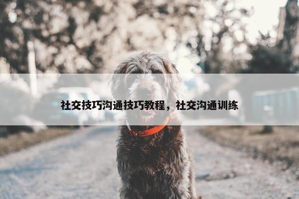 社交技巧沟通技巧教程，社交沟通训练