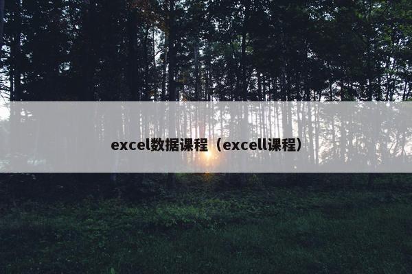 excel数据课程（excell课程）