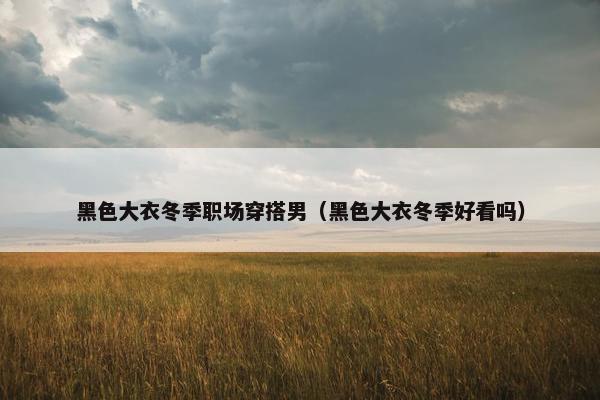 黑色大衣冬季职场穿搭男（黑色大衣冬季好看吗）