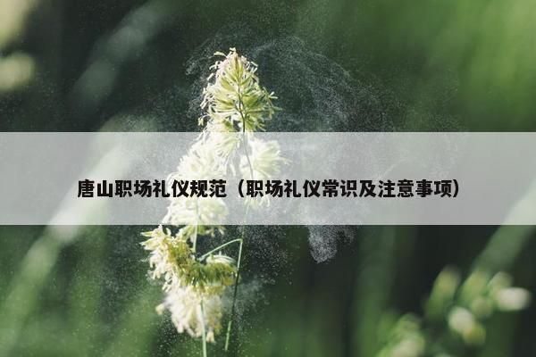 唐山职场礼仪规范（职场礼仪常识及注意事项）