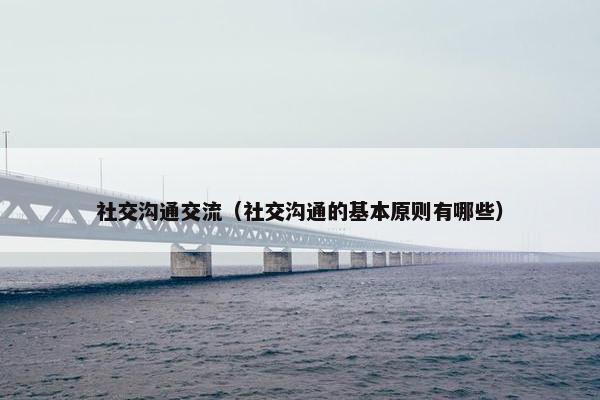 社交沟通交流（社交沟通的基本原则有哪些）