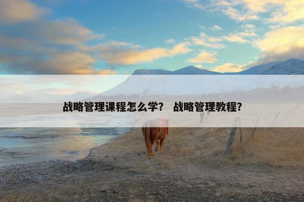 战略管理课程怎么学？ 战略管理教程？