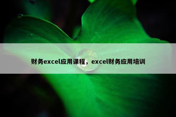 财务excel应用课程，excel财务应用培训