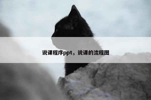 说课程序ppt，说课的流程图