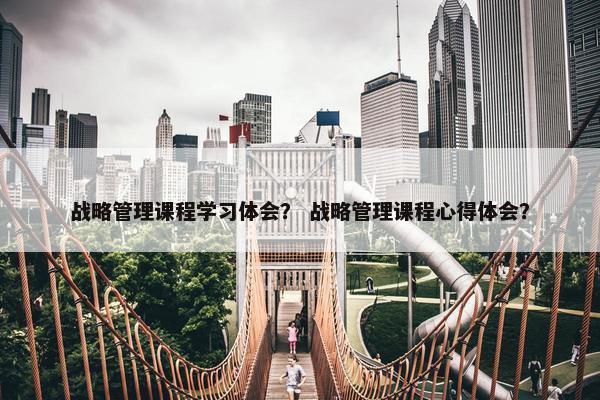 战略管理课程学习体会？ 战略管理课程心得体会？