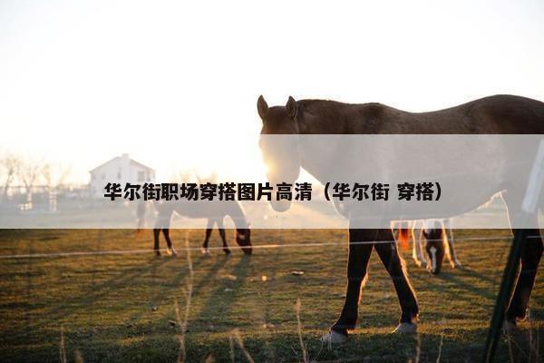 华尔街职场穿搭图片高清（华尔街 穿搭）