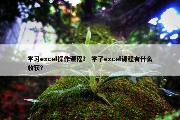 学习excel操作课程？ 学了excel课程有什么收获？