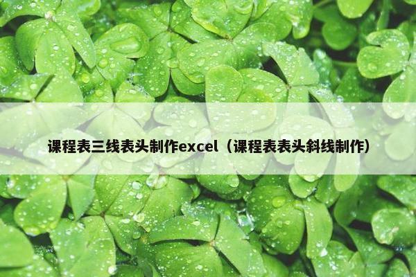课程表三线表头制作excel（课程表表头斜线制作）