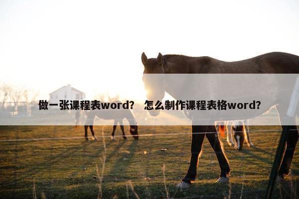 做一张课程表word？ 怎么制作课程表格word？