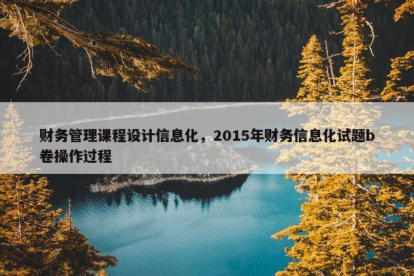 财务管理课程设计信息化，2015年财务信息化试题b卷操作过程