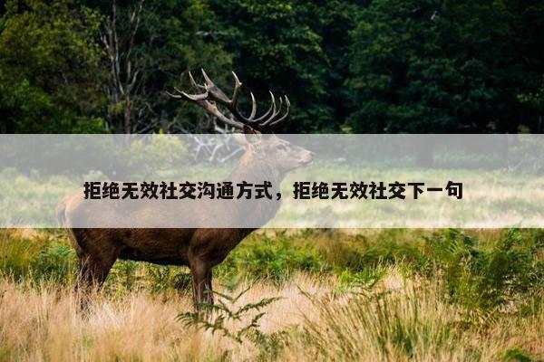 拒绝无效社交沟通方式，拒绝无效社交下一句