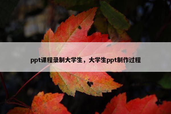 ppt课程录制大学生，大学生ppt制作过程