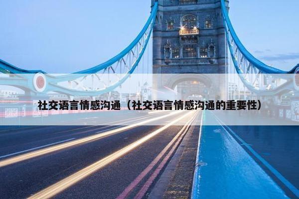 社交语言情感沟通（社交语言情感沟通的重要性）